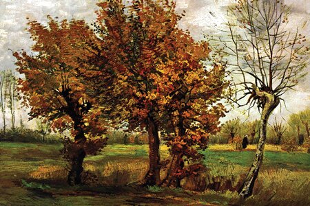 Autumn Landscape with Four Trees by Vincent Van Gogh Framed Painting Print on Wrapped Canvas